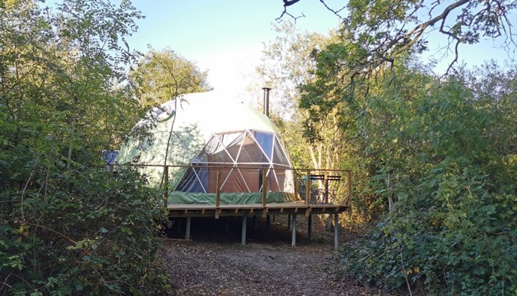 Isle of Wight, Camp Wight, Accommodation, Glamping Dome in woodland setting