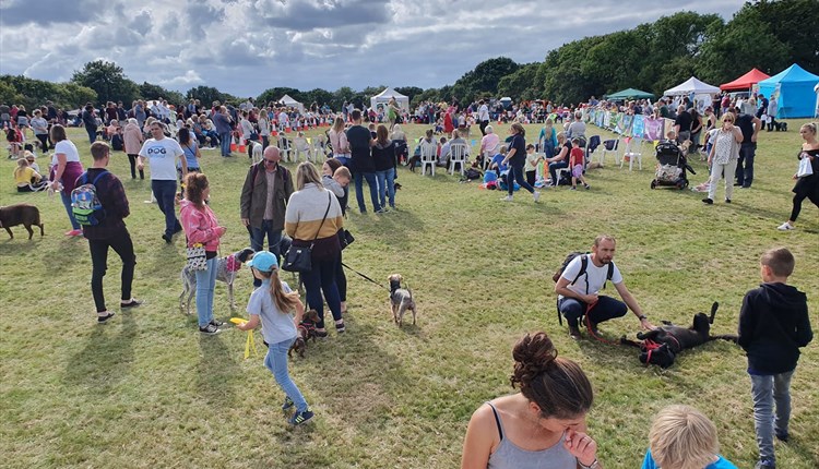 Families with their dogs at Isle of Wight Dog Festival, what's on, event