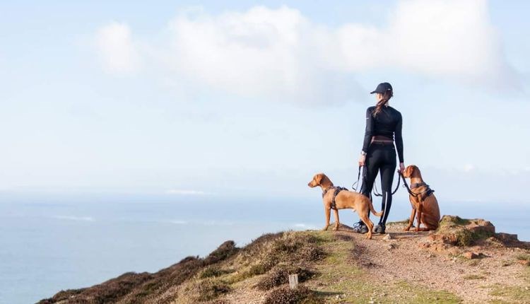 Two dogs with their owner on the cliff at Compton looking out to sea, Trotting Dog, Isle of Wight, activities, walking, running, dog-friendly trails