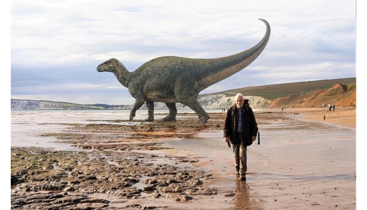 visit isle of wight, things to do, dinosaur on compton beach
