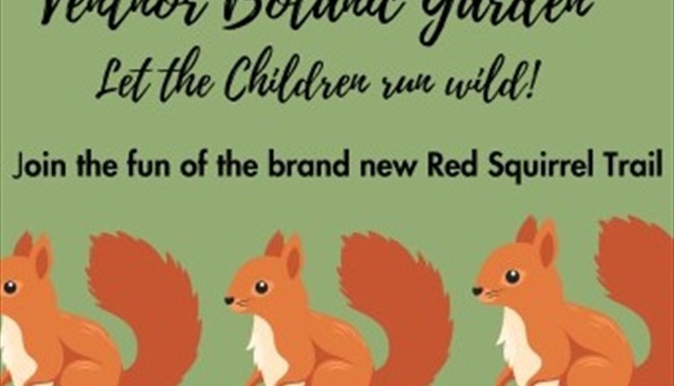 Red Squirrels on the trail poster, February half term event at Ventnor Botanic Garden, children's activities, what's on, Isle of Wight