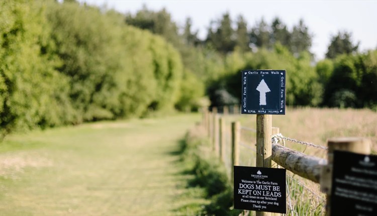 Family farm tours, the garlic farm, Isle of Wight, family days out, whats on