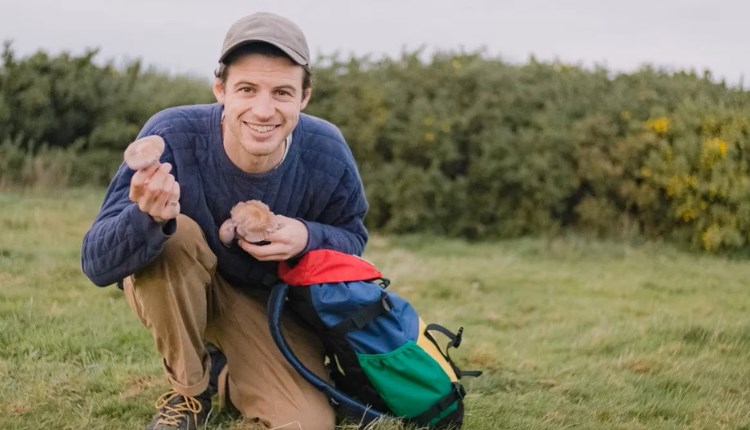 Foraging walk at the garlic farm, Isle of Wight, what's on, events