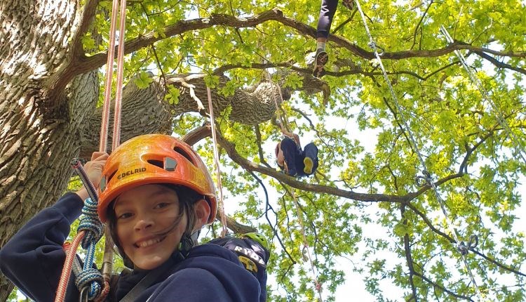 Girl climbing tree at Goodleaf Tree Climbing, Cowes Week event, Cowes, Isle of Wight, what's on, activities, family fun