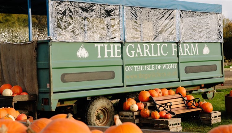 Spooky trail at garlic farm, Isle of Wight, October half term, halloween events, whats on