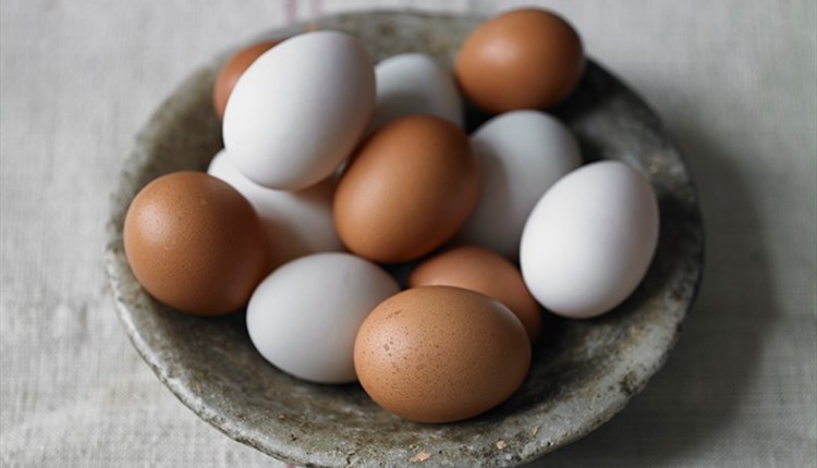 Image of free range brown and white eggs, Hazelgrove Farm Egg, Ashey, Ryde, Isle of Wight