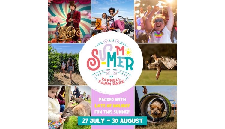 Summer fun poster at Tapnell Farm Park, Yarmouth, events, things to do