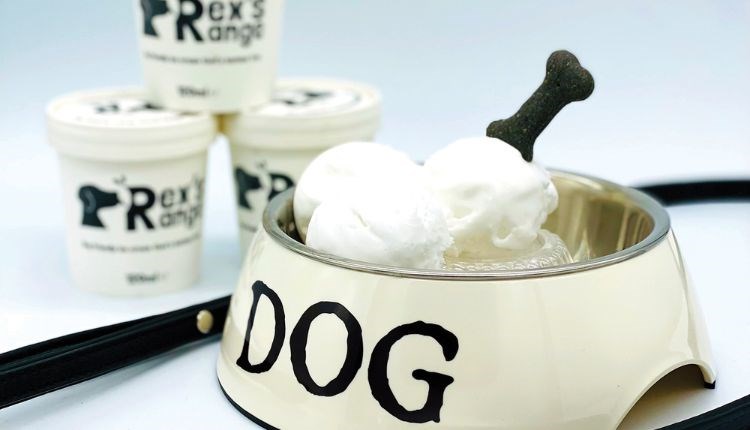 Rex's Range ice cream in a dog bowl, local producers, dog friendly, Isle of Wight, local produce, let's by local