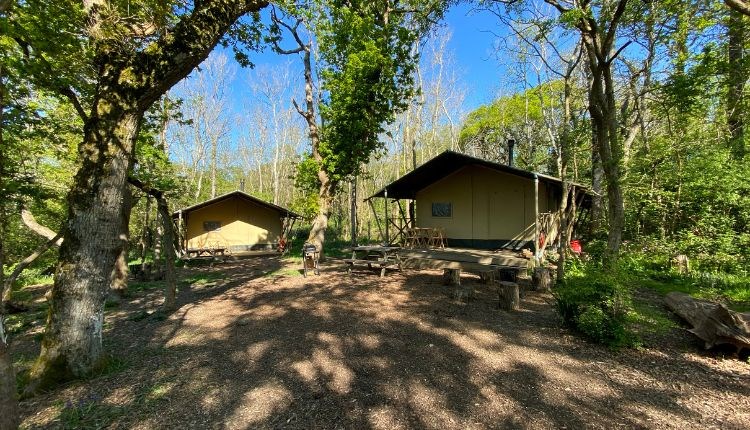 Outside view of two safari tents at Wight Classic Camping, Isle of Wight, glamping, unique place to stay