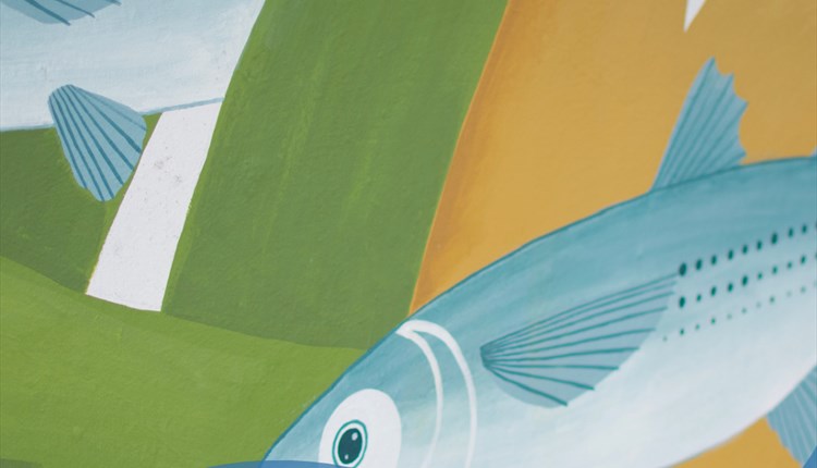 Create Your Own Sea Creature Drop-In