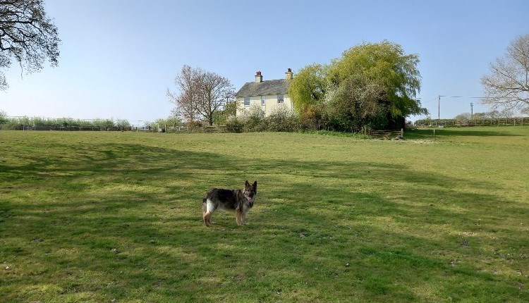 Outside grounds at Somerton Farm Holiday Cottage, self-catering, Cowes