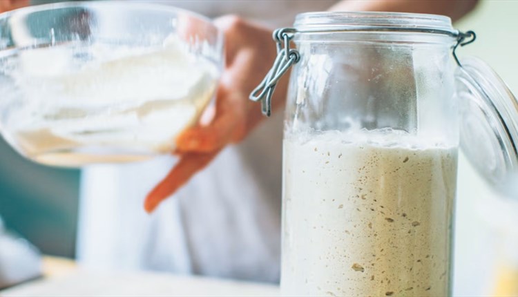 sourdough making workshop at the garlic farm, Isle of Wight, foodie events