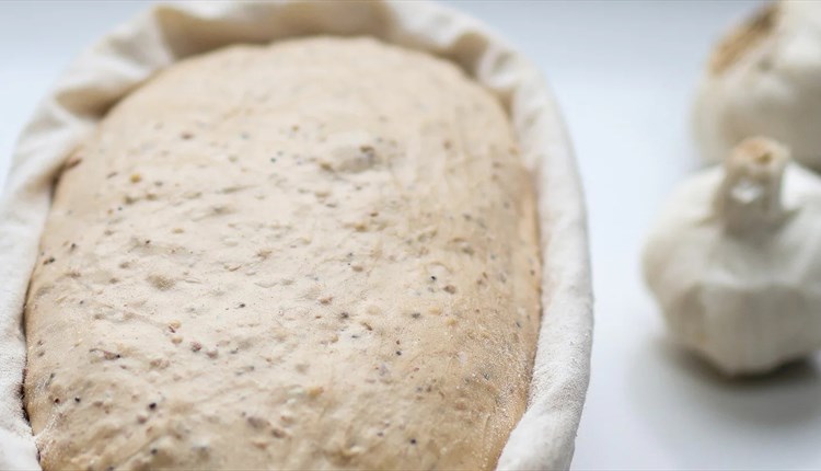 Sourdough Workshop with Josephine
