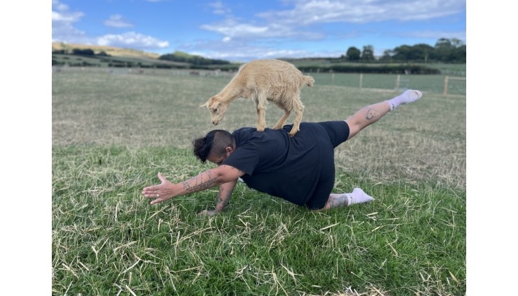 Visit Isle of Wight, Things to do, person doing yoga with a small goat on their back