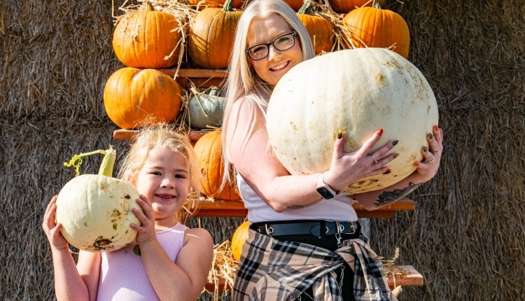 Pumpkin Pride at Tapnell Farm Park at Halloween event, Isle of Wight, What's On