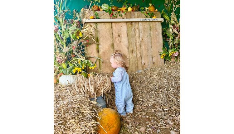 Toddler walking around hay bales at the Pumpkin Patch event at Westover Farm, family friendly, children's activities, Halloween event, what's on, Isle