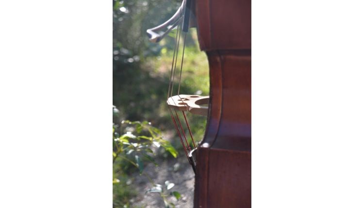 Cello within the countryside, The Great Swing Picnic at The Lawn Bar, Isle of Wight, music, food, outdoor event, what's on