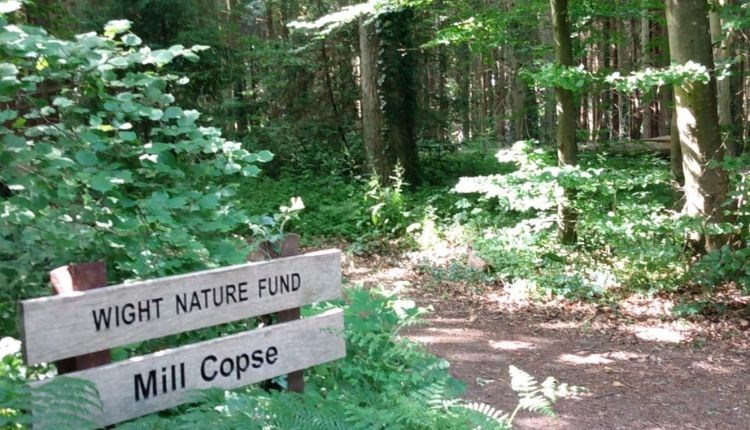Mill Copse in Yarmouth, Isle of Wight UNESCO Biosphere, guided walk, scavenger hunt, family fun activities, nature