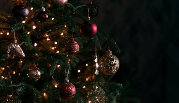 Christmas tree, festive stays at The Wight, Christmas, Twixmas, New Year, event, what's on, Isle of Wight