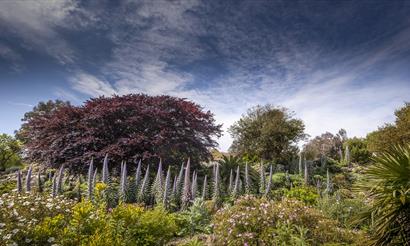 Ventnor Botanic Garden, Ventnor, Things to Do, Outdoor space