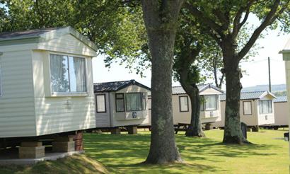 View of caravans within the trees at Cheverton Copse Holiday Park, Sandown