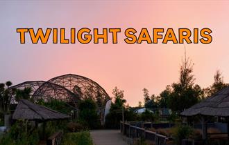 Twilight Safaris