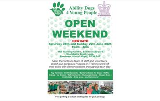 Isle of Wight, Things to do, Ability Dogs Open Weekend, Sandown