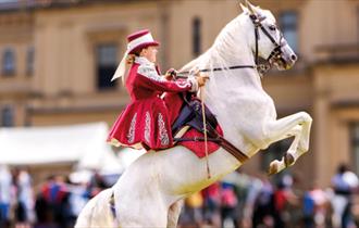 Lady on a horse, All the Queen's Horses event at Osborne, event, what's on, Isle of Wight