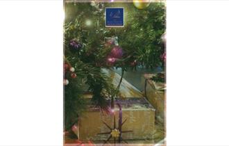 Christmas tree, festive events at The Boathouse, Seaview, Isle of Wight