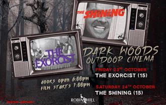 Film Nights in the Woods — image from event listing