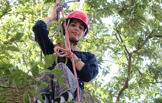 Lady climbing a tree, Goodleaf Tree Climbing, activity, Cowes Week, event, what's on, Isle of Wight