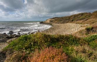 Isle of Wight, Things to do, Coastal Foraging Walk, Watershoot Bay, Niton, Isle of Wight