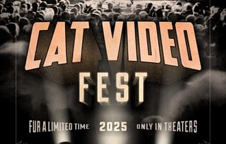 Cat Video Fest 25 (U)