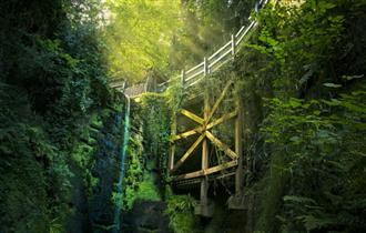 Waterfall at Shanklin Chine, Things to Do, Isle of Wight