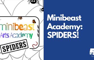 Minibeast Academy: SPIDERS! — image from event listing