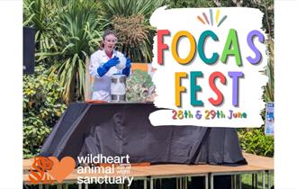Isle of Wight, Things to do, FOCAS Fest, Wildheart Animal Sanctuary, Sandown