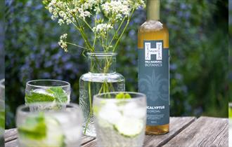 Eucalyptus cordial from Hill Hassall Botanics at Ventnor Botanic Garden, Isle of Wight, local produce, buy local