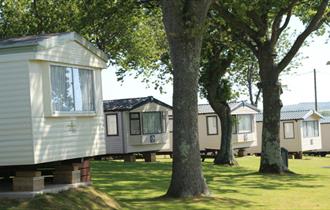 View of caravans within the trees at Cheverton Copse Holiday Park, Sandown