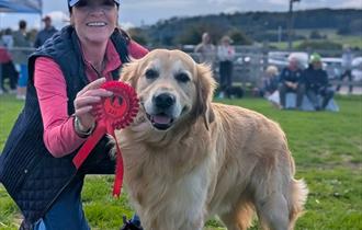 Fun dog show at the Isle of Wight Donkey Sanctuary — image from event listing