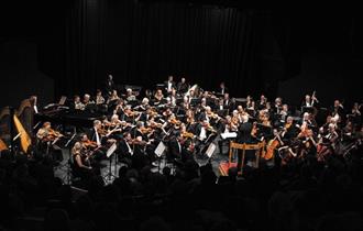 Isle of Wight Steam Railway, IWSO Proms, Orchestra image