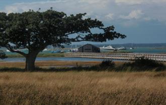 Newtown creek, nature trail, Isle of Wight, What's On