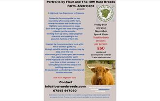 Paint your Own Highland Cow