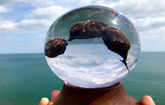 Isle of Wight, Things to Do, National Poo Museum, Poo in resin crystal ball