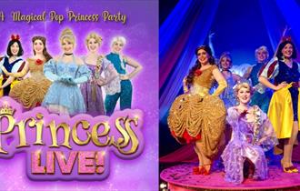 Isle of Wight, Things to do, Medina Theatre, Princess Live! Childrens Event,