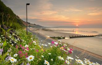 Sunrise at Sandown