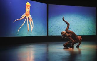 Isle of Wight, Things to do, Quay Arts, Newport