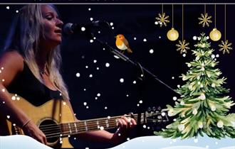 Live Music from Sunny Brown