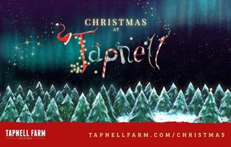 Christmas at Tapnell Farm Park, What's On, children's event