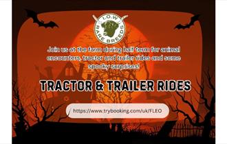 Isle of Wight, Things do to, family fun, Isle of Wight Rare Breeds CIC, Tractor and Trailer Rides