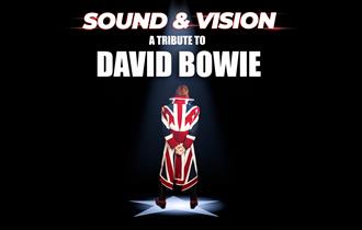 David Bowie tribute poster, Medina Theatre, music, what's on, event, Newport, Isle of Wight